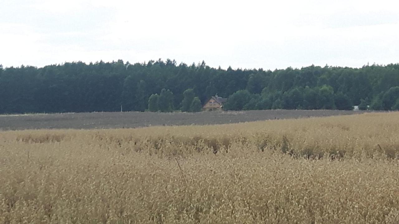 Winnica Debogora Dobiegniew 外观 照片