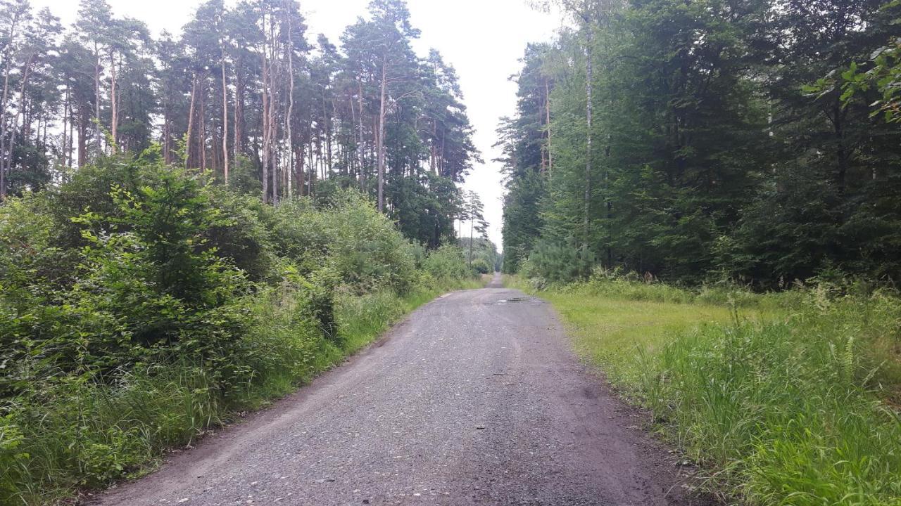 Winnica Debogora Dobiegniew 外观 照片